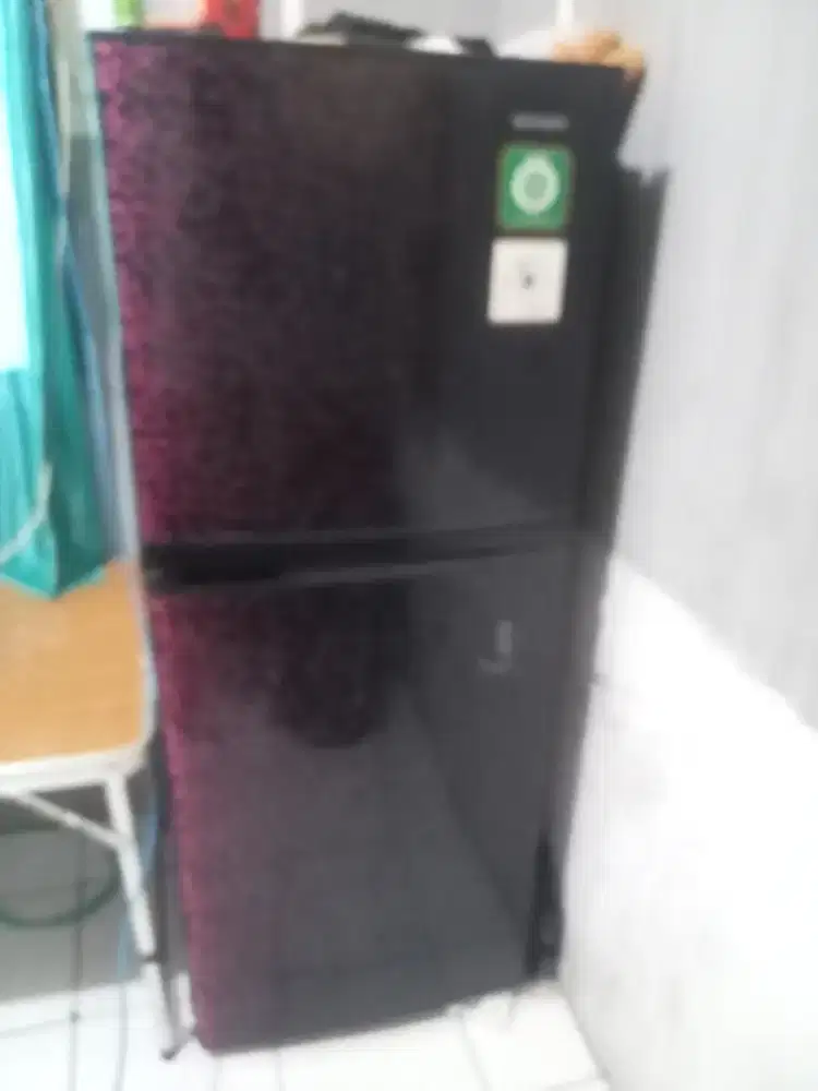 Kulkas sharp 2 pintu
