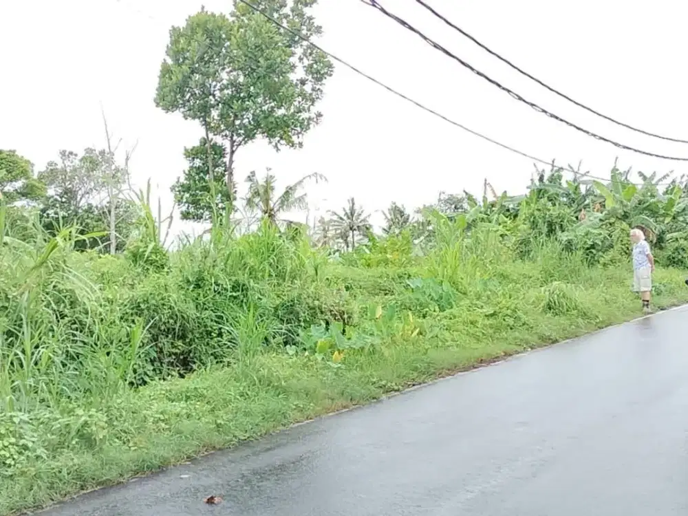 Tanah strategis Medahan Gianyar Bali