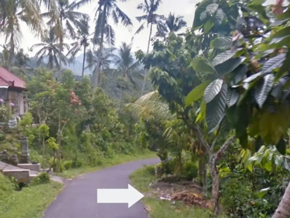 Tanah Kebun Pohsanten Medoyo Jembrana