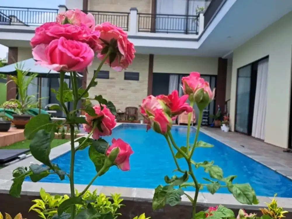 Villa Cantik View GWK kutuh Gayang sari kuta selatan bali