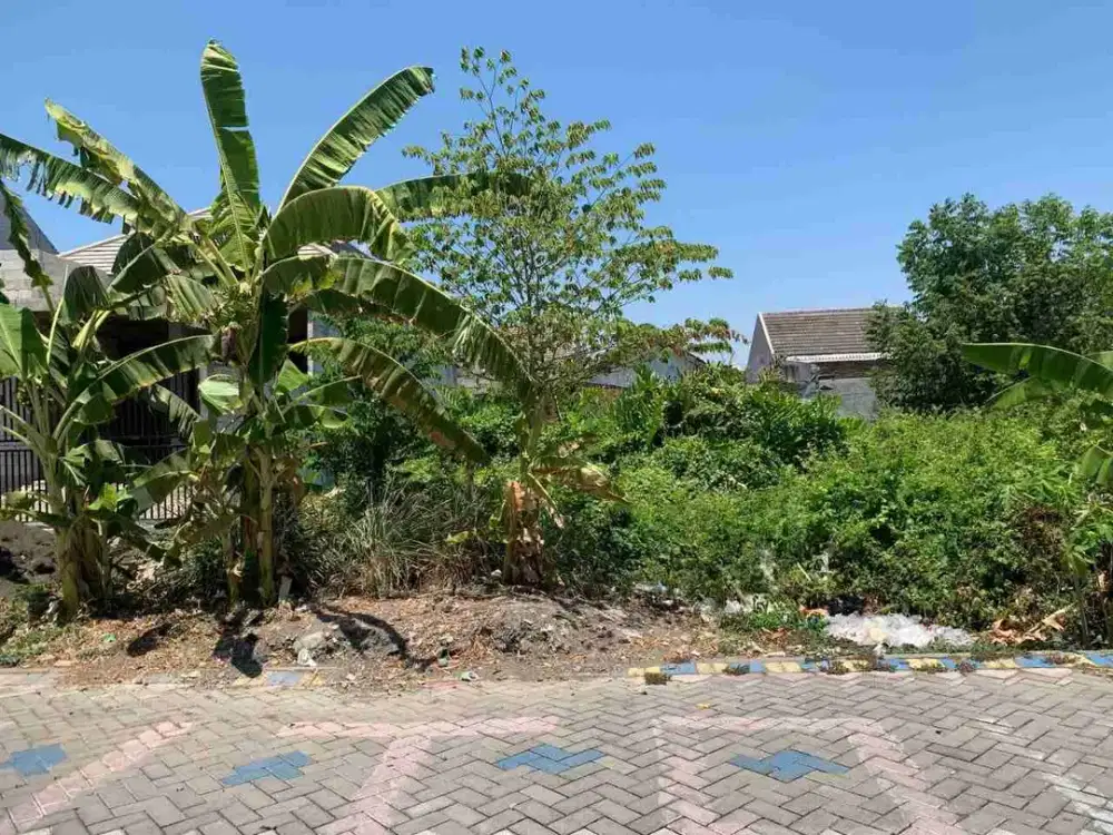 3 jt-an/mtr Tanah Kavling Siap Bangun Medayu Utara