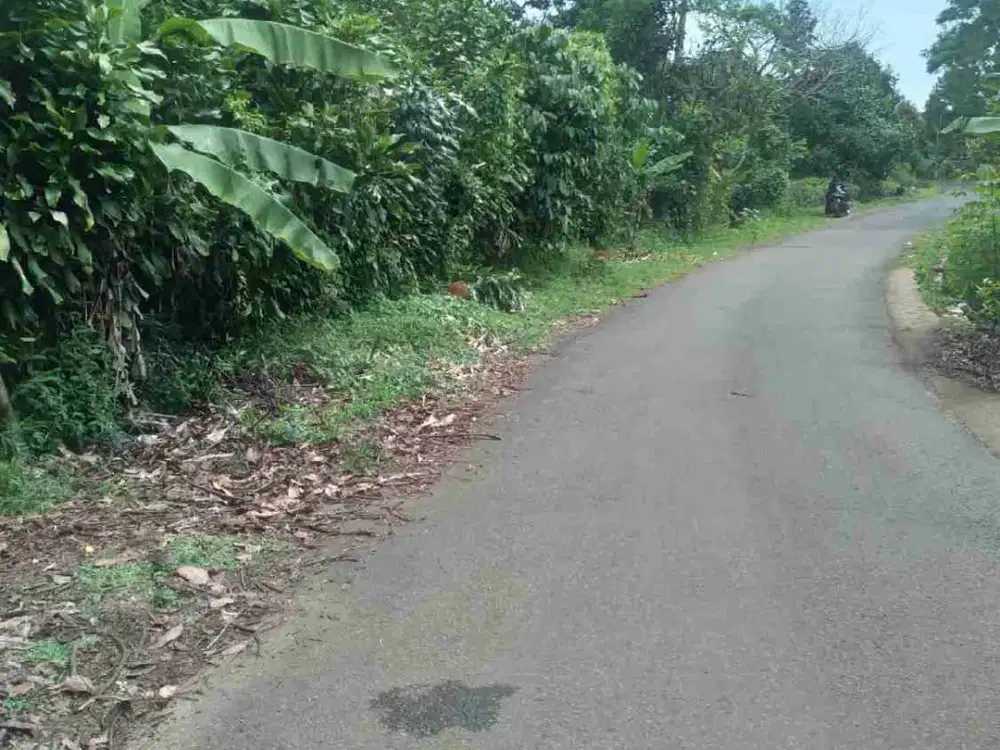 tanah darat kebun