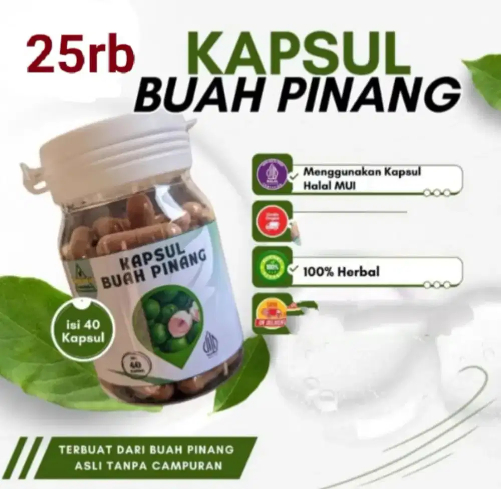 Kapsul buah pinang