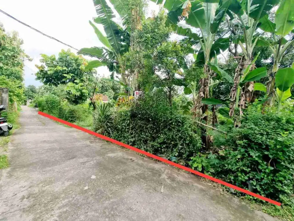 Tanah Luas Ideal Siap Bangun Dekat Kampus Akfis Colomadu