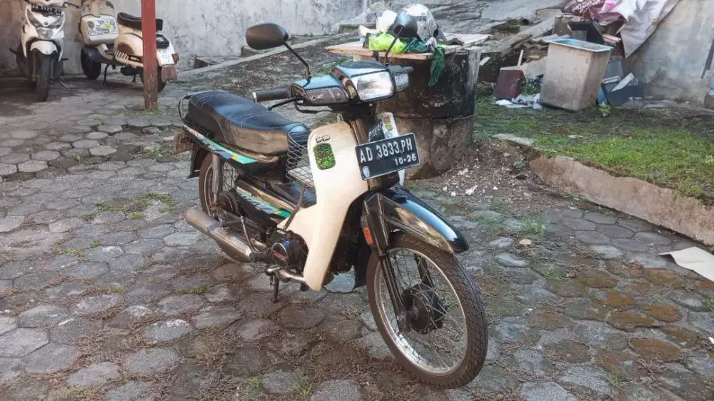 Astrea grand Bulus 93