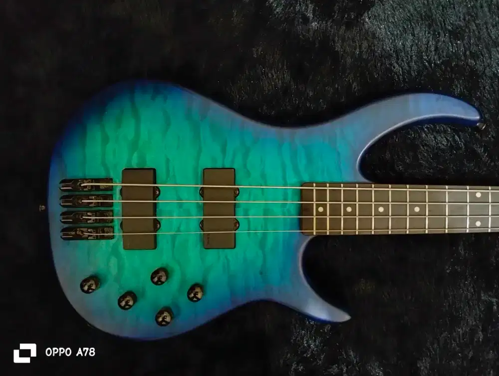 Bass peavey millenium 4 string