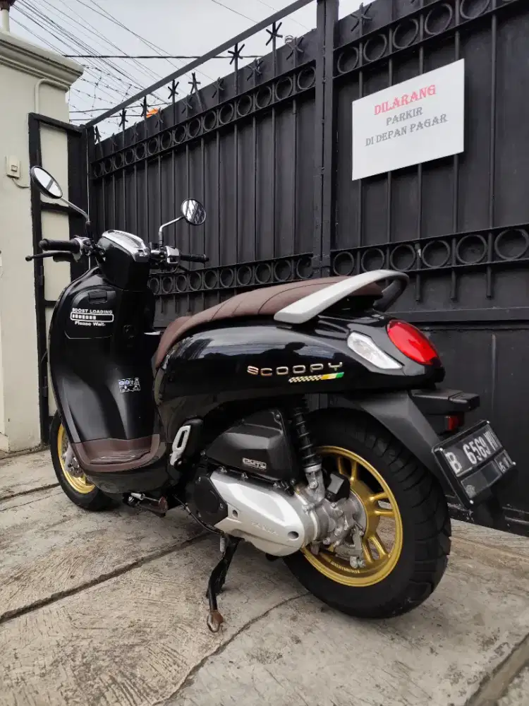 Honda Scoopy Kayless