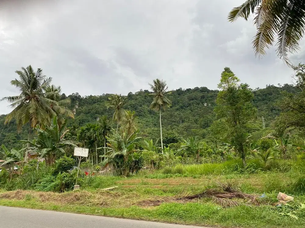 *Jual Cepat tanah pinggir jalan Raya Kuranji, Belimbing, Padang*