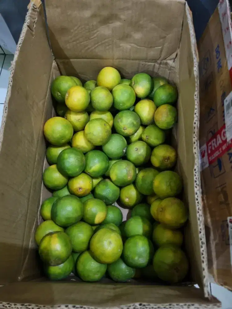 Jeruk Baby Java Manis