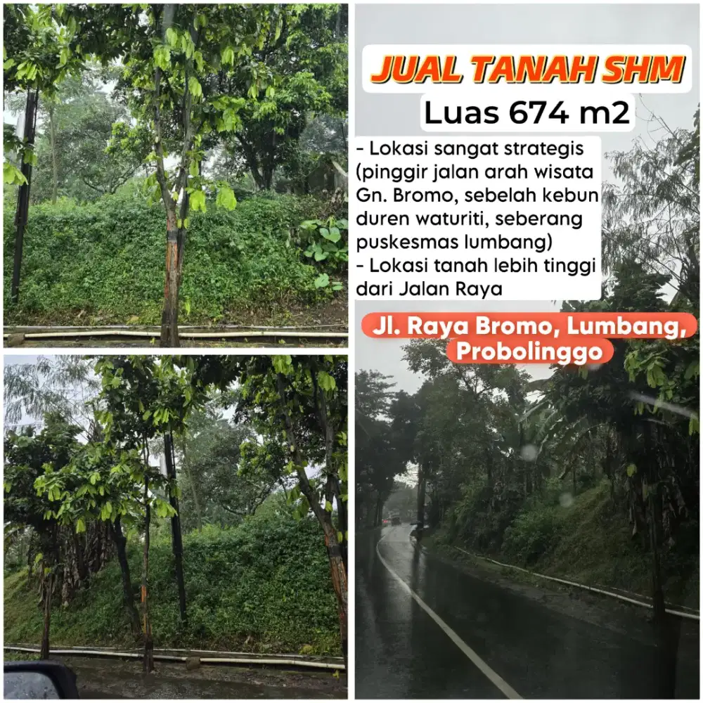 Jual tanah SHM pinggir jalan akses ke Bromo