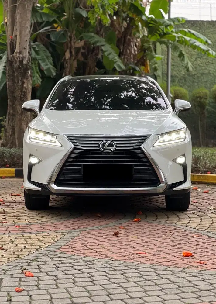 LEXUS RX300 2019 LUXURY FSPORT 2020 LOW KM 2018 MINT CONDITION