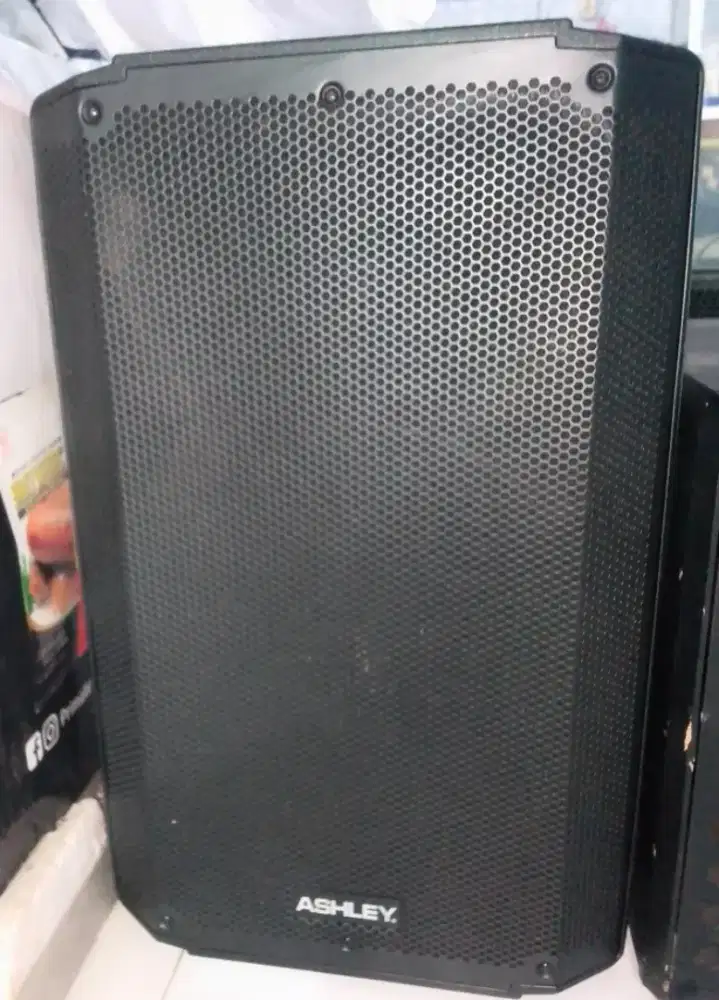 Speaker Ashley barca