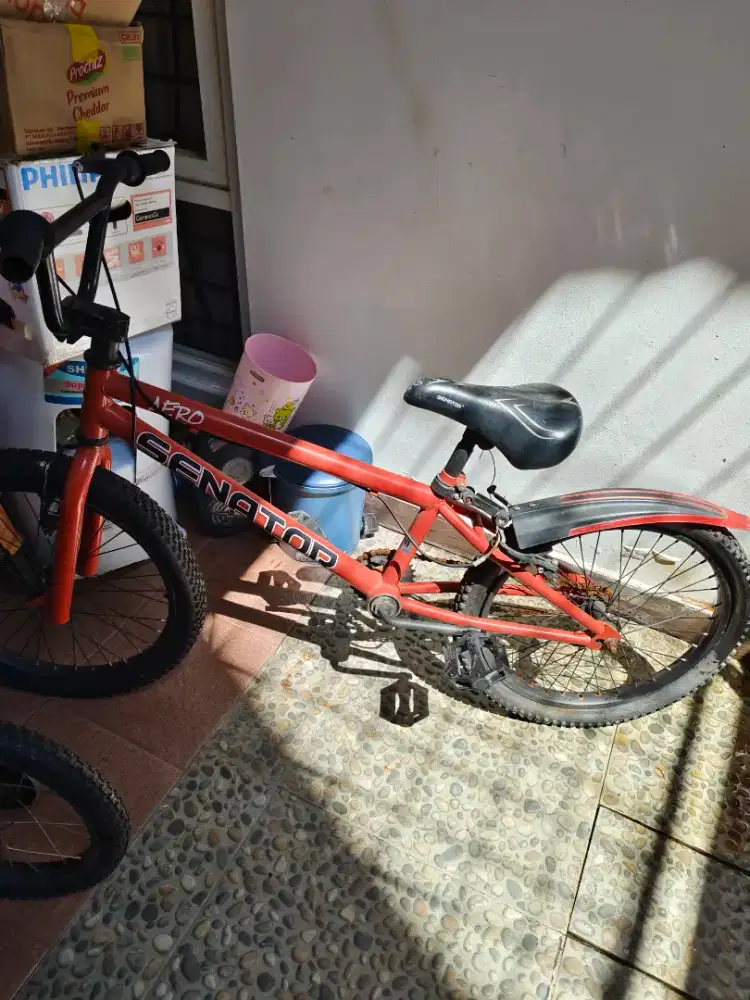 Sepeda anak laki laki