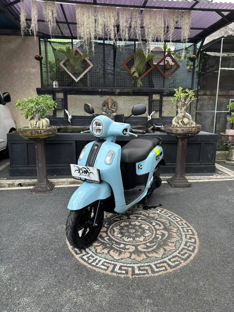 Fazzio neo tahun 2023