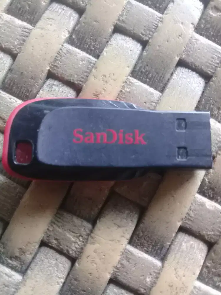 Memori suara pemanggil walet