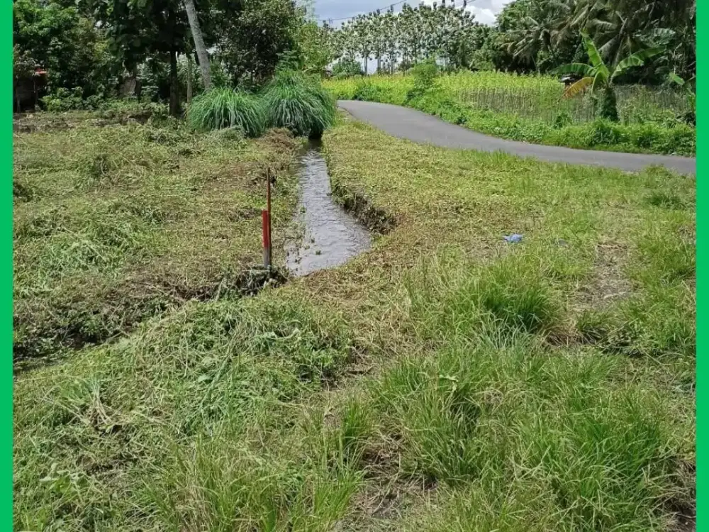Tanah Jogja Tepi Jalan Aspal Barat Jl Kaliurang SHM Pekarangan