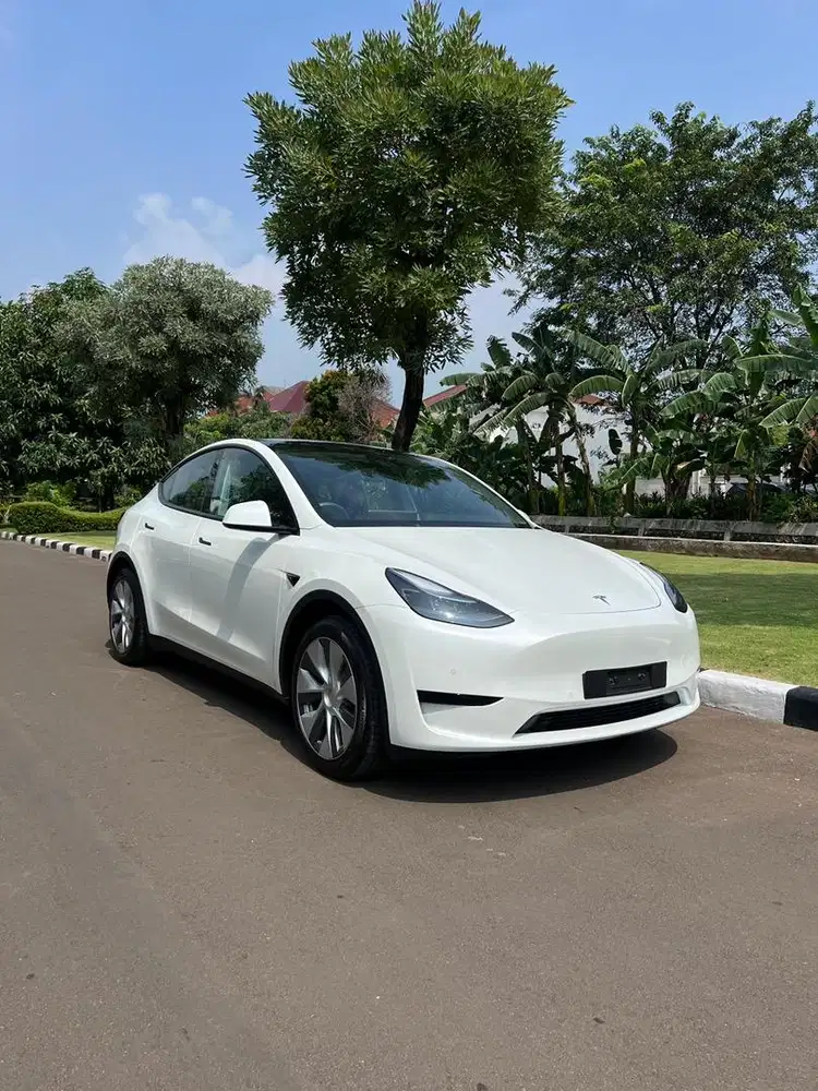 BARU! 2025 Tesla Model Y SUV
