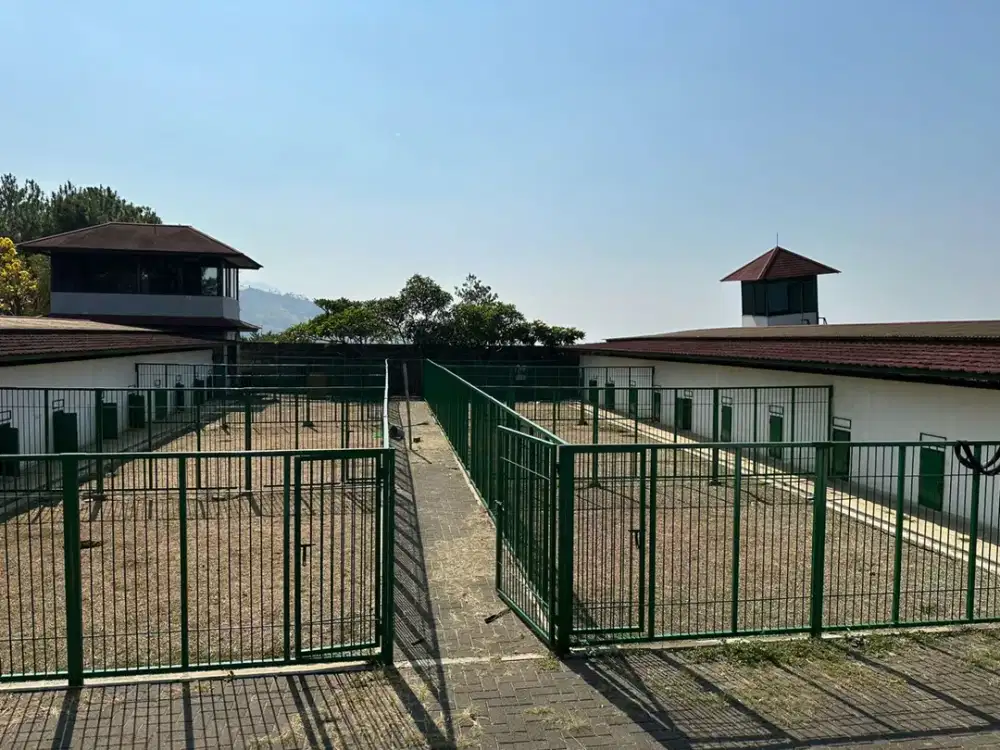 Sewa Lahan + Bangunan Bukir Pakar Utara Dago Atas – Cocok untuk Pet Care / Gudang / Workshop