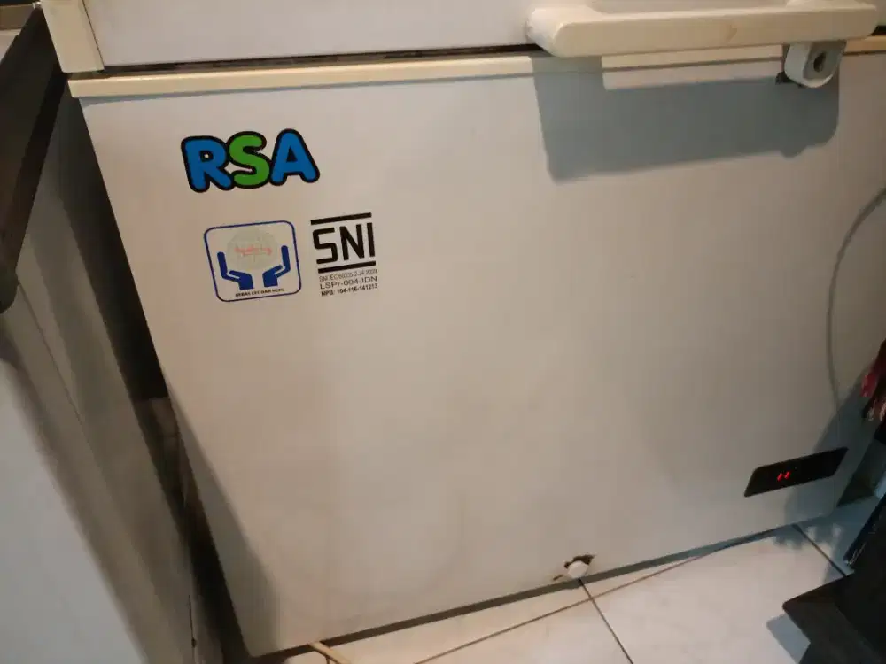 Freezer box 220L RSA