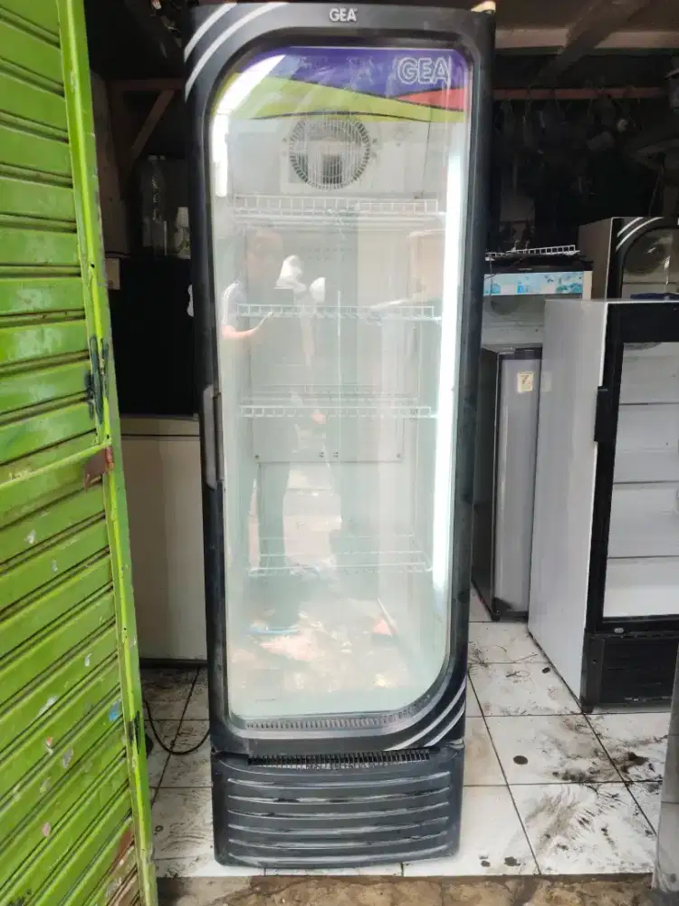 Showcase gea oval ukuran jumbo bagus normal dingin nyess