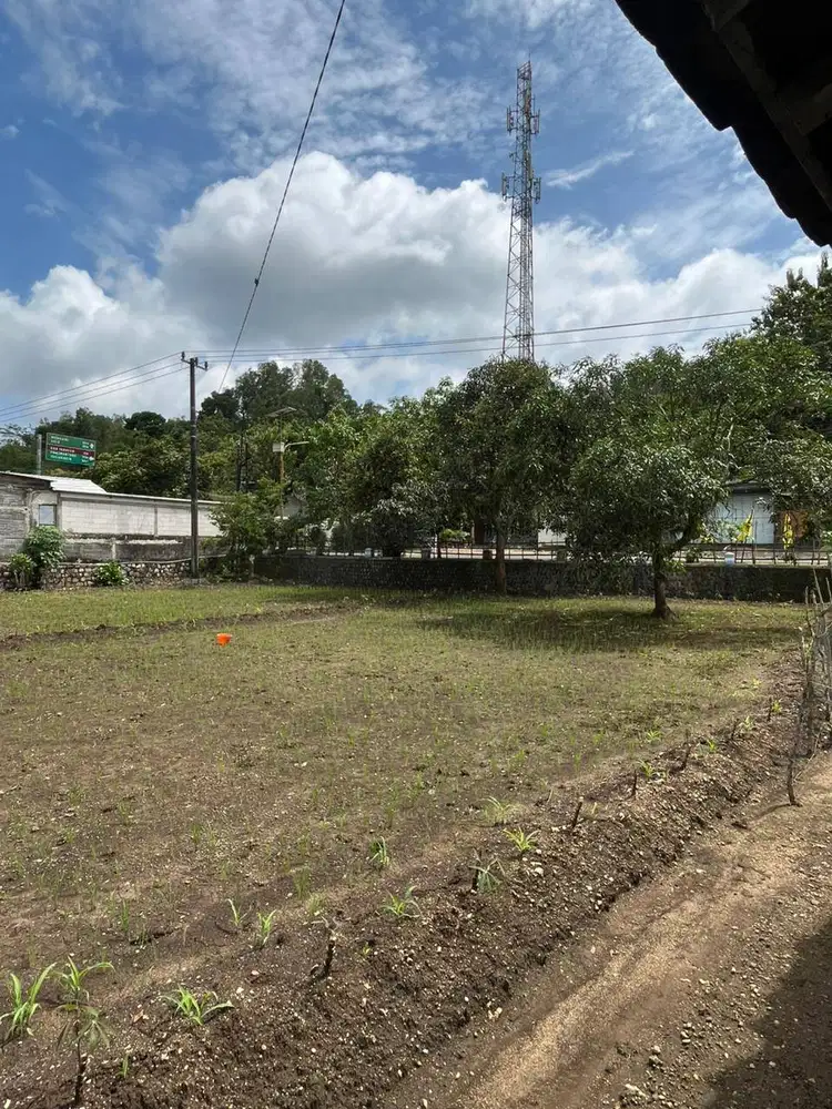 Disewakan 2 bidang tanah