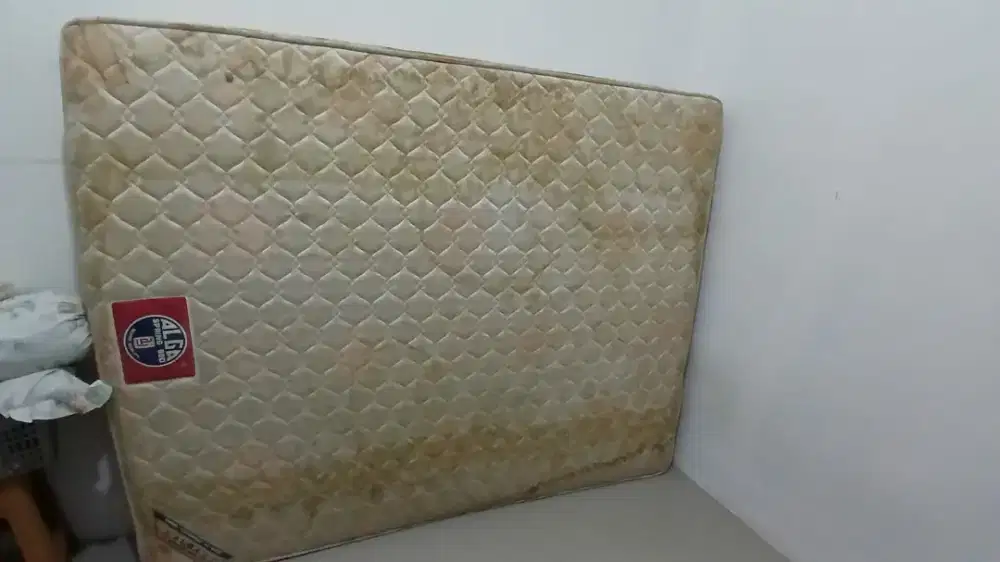 Springbed Alga Second