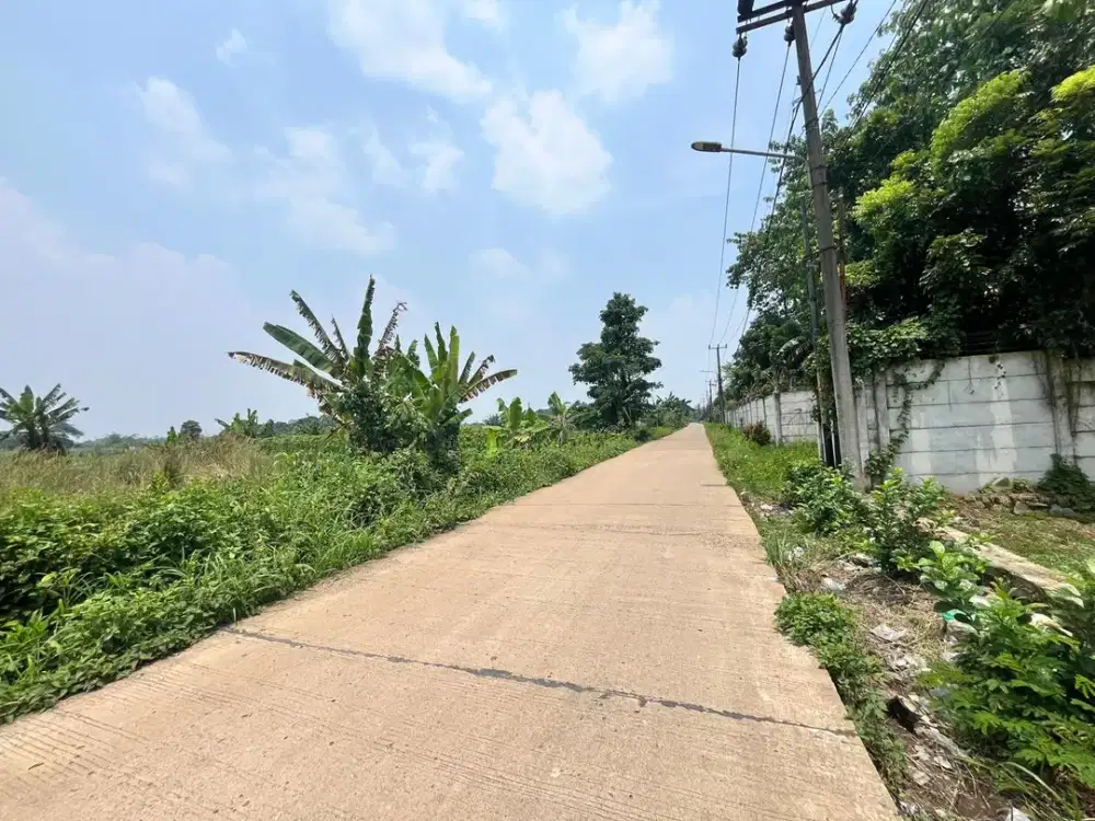 Tanah CIsauk 180 Jutaan Siap AJB - Pinggir Jalan Dekat Stasiun/Tol