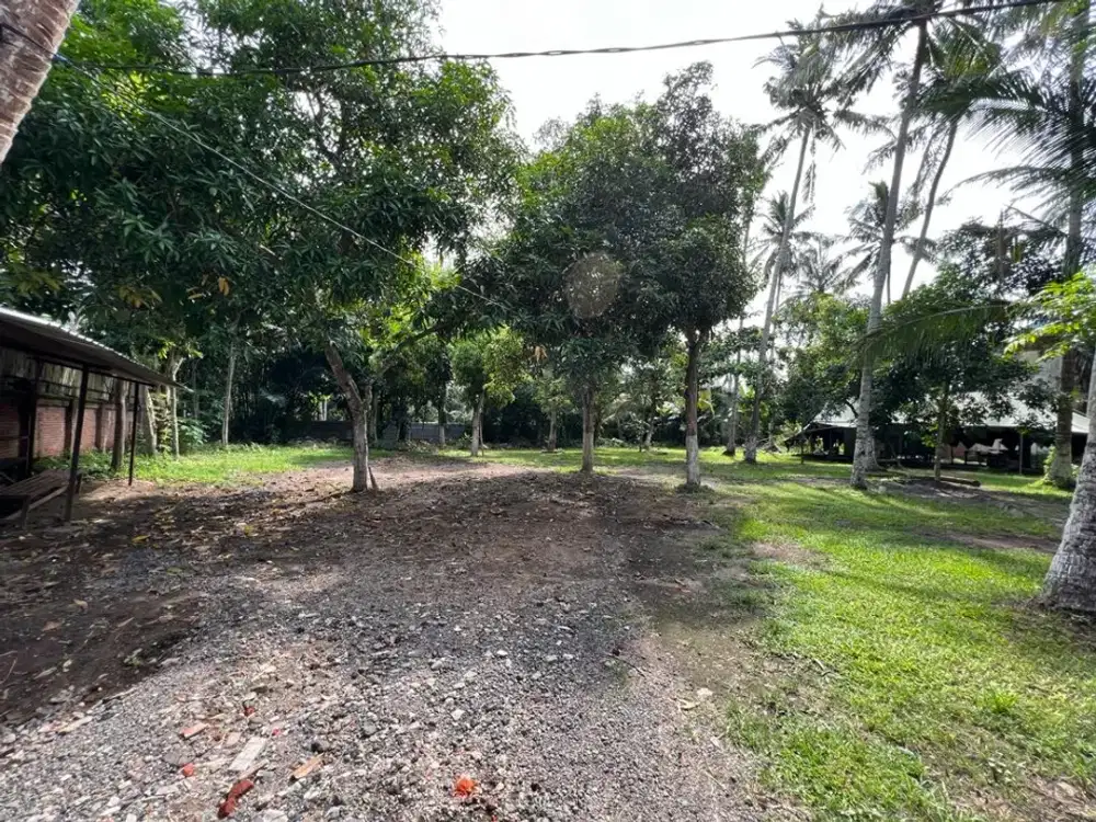 Tanah di Meninting dekat Coconut Boutique Resort