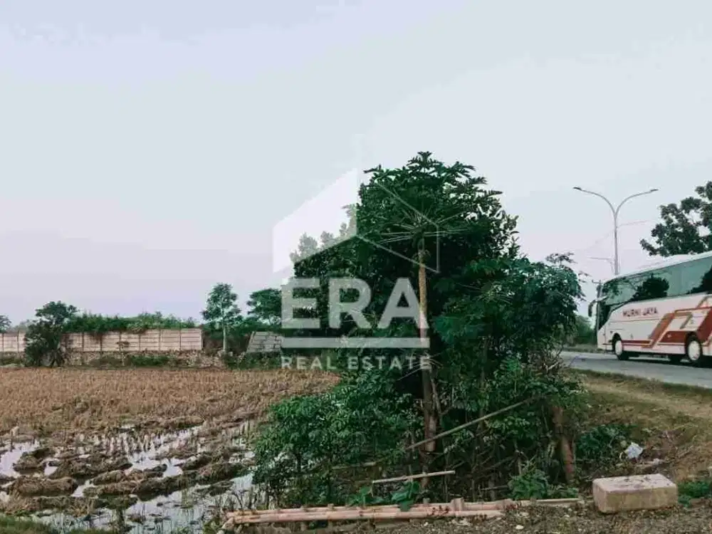 Dijual Tanah Sawah Di Pinggir Jalan Raya Jl Baru / Lingkar Tanjung Pura Land Karawang
