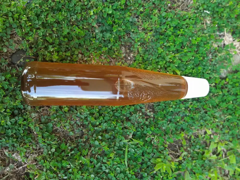 Madu Lebah Hutan Liar Asli Murni Manis