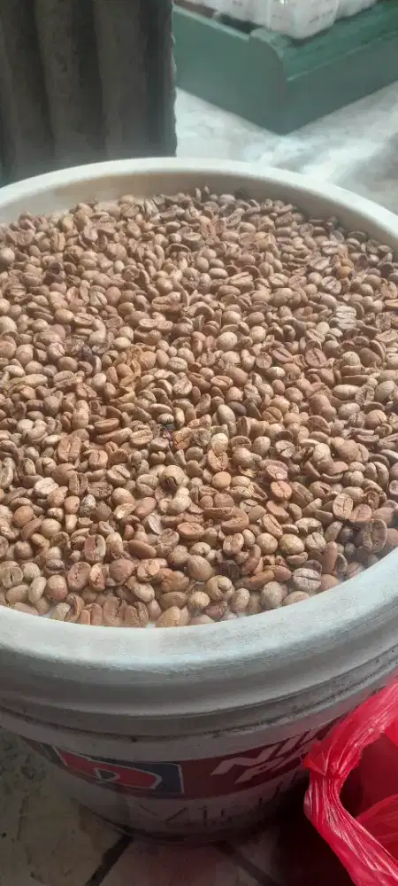 Kopi dr Bogor. Simpanan