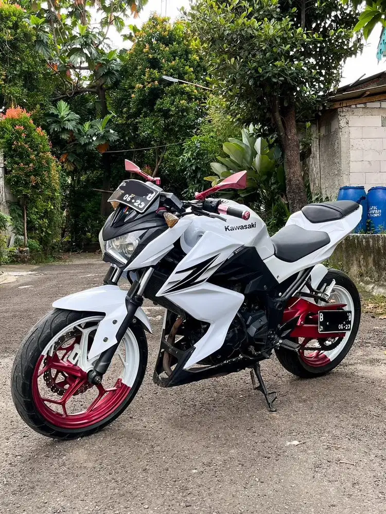 Kawasaki Z250 2013 Low KM