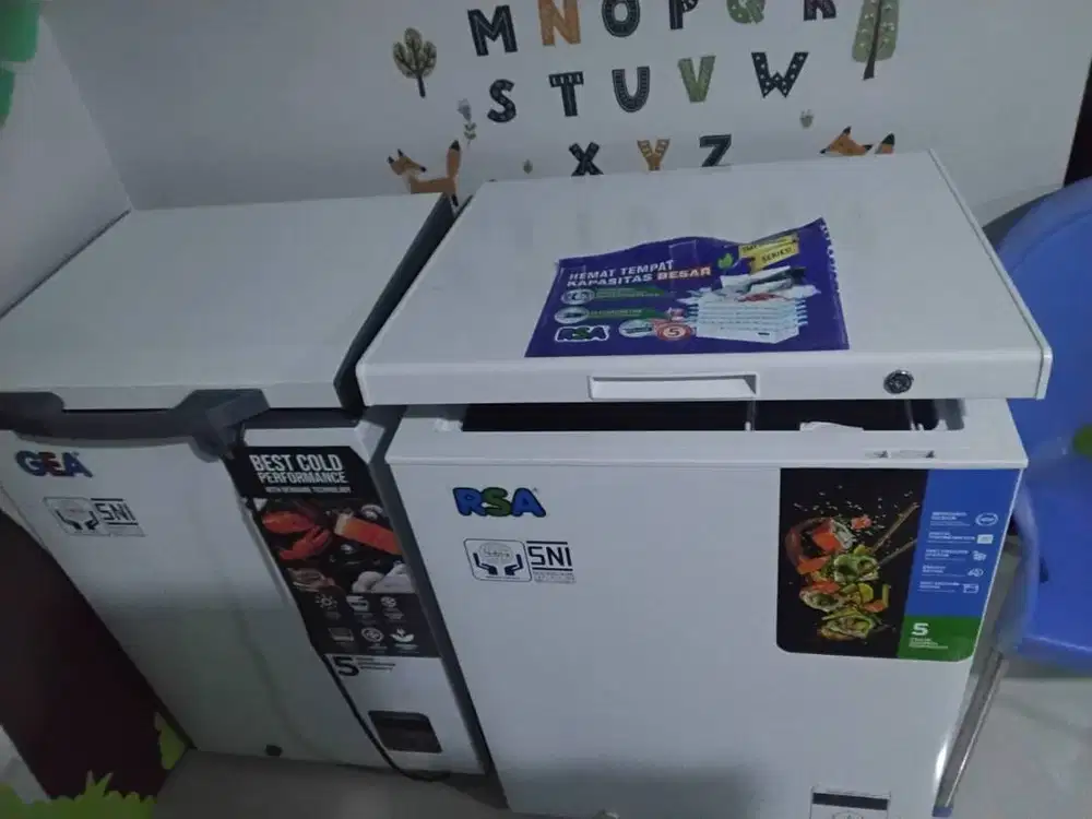 FREZZER BEKAS GEA RSA