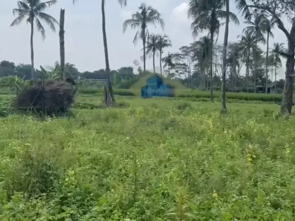 Dijual Tanah di Desa Palasari, Legok - Tangerang, Banten