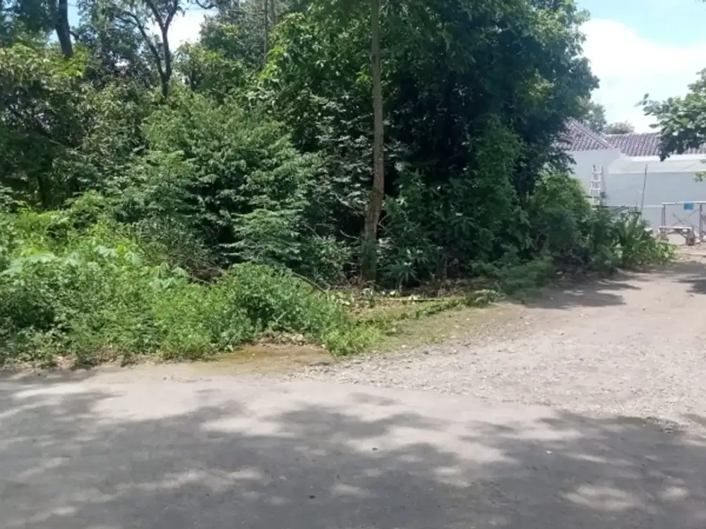 Tanah bagus di wedomartani