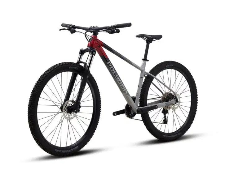 Sepeda Gunung Polygon Xtrada 5