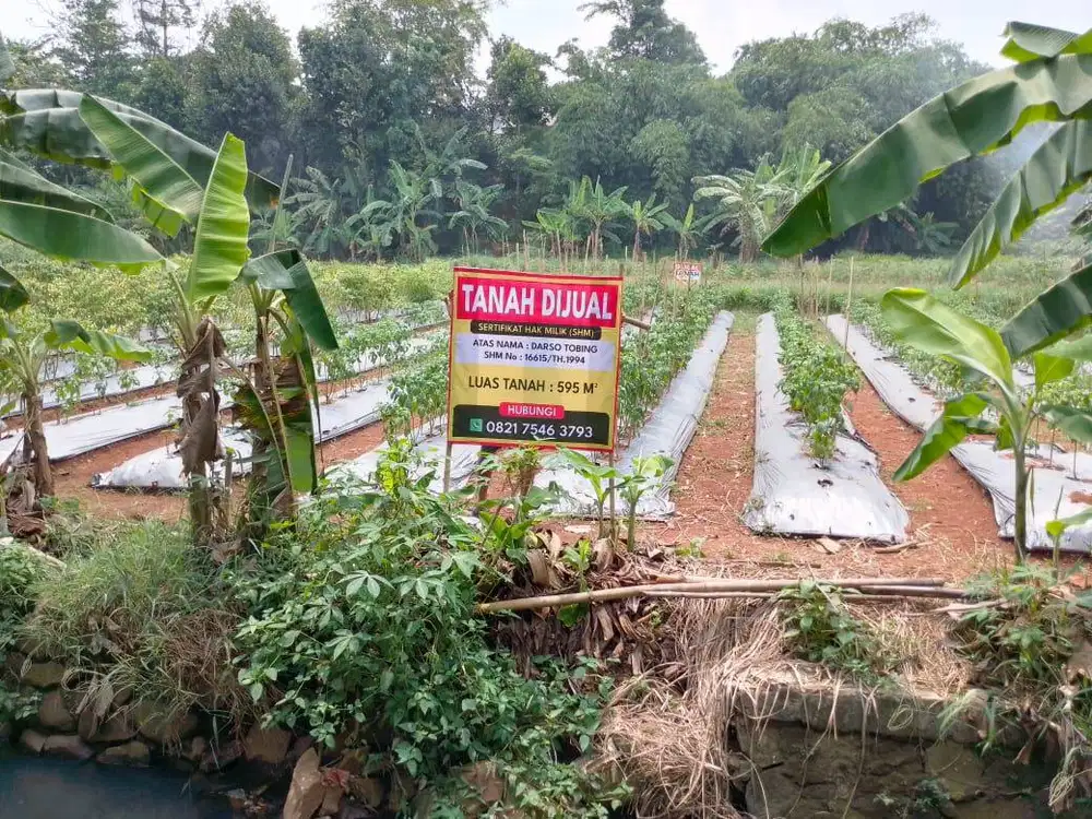 Dijual Tanah 595 m2 SHM Lokasi Strategis, Harga Menarik!