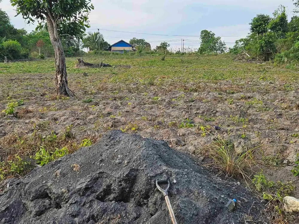 Dijual Tanah Babulu PPU