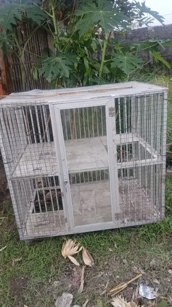 Kandang kucing tingkat sedang