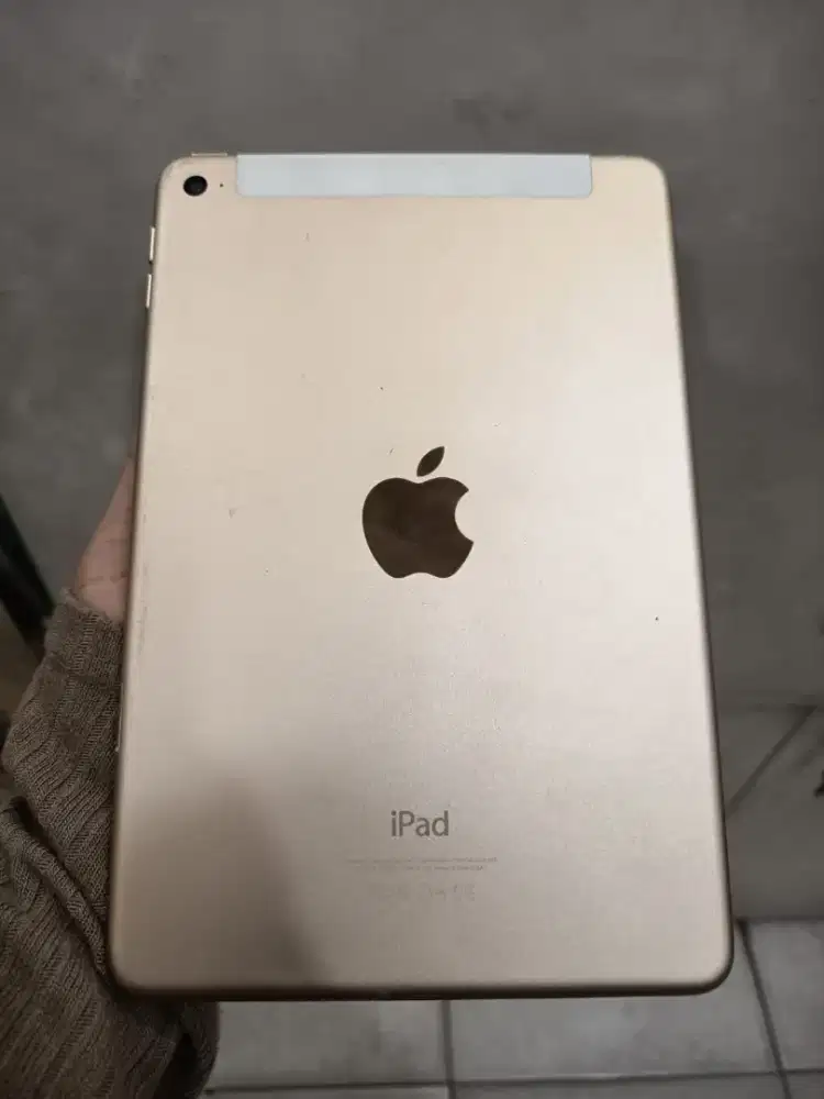 Ipad Mini 4 128GB -Second