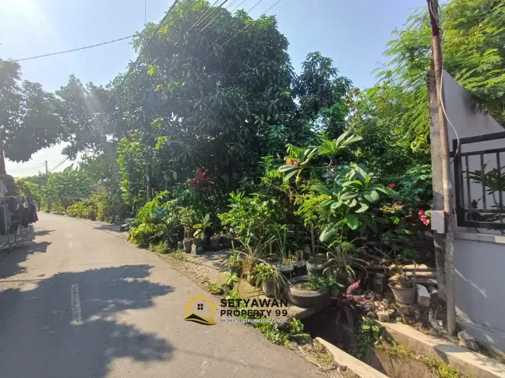 TANAH PEKARANGAN TERMURAH AREA TIMUR SKE JALAN JAMBON