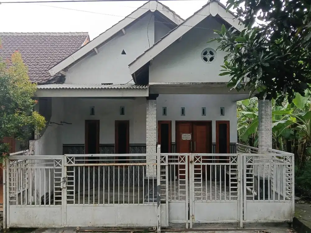 Rumah desa asri untuk keluarga cemara