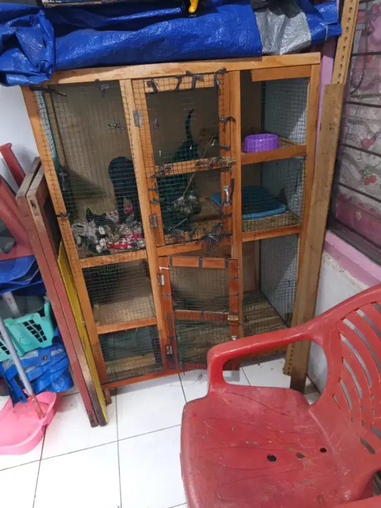 Kandang kucing  100 Ciracas