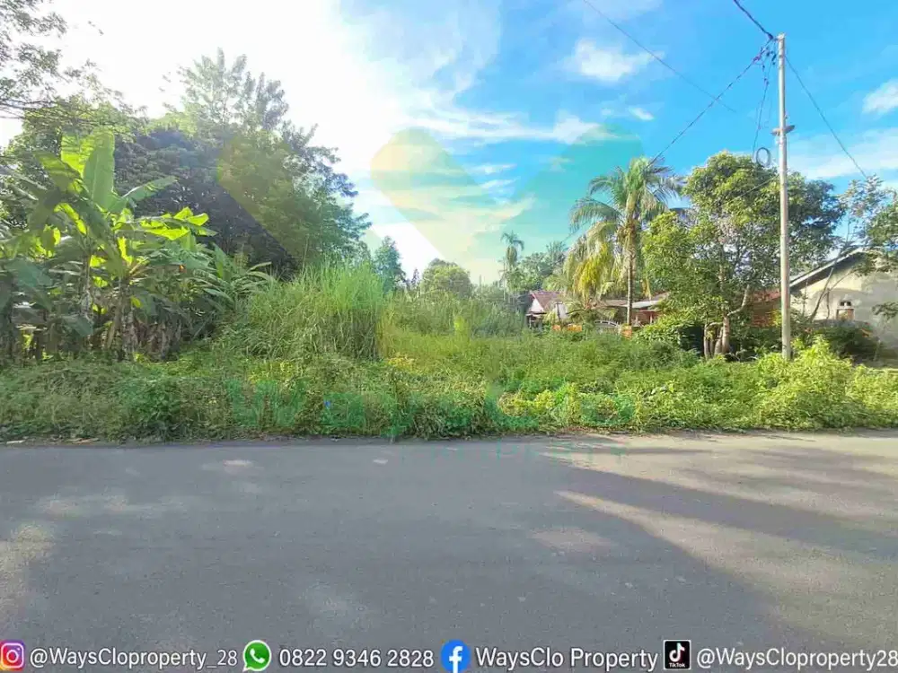 DIJUAL CEPAT TANAH CANTIK DAN STRATEGIS DAERAH MAUMBI, HARGA SANGAT MURAH