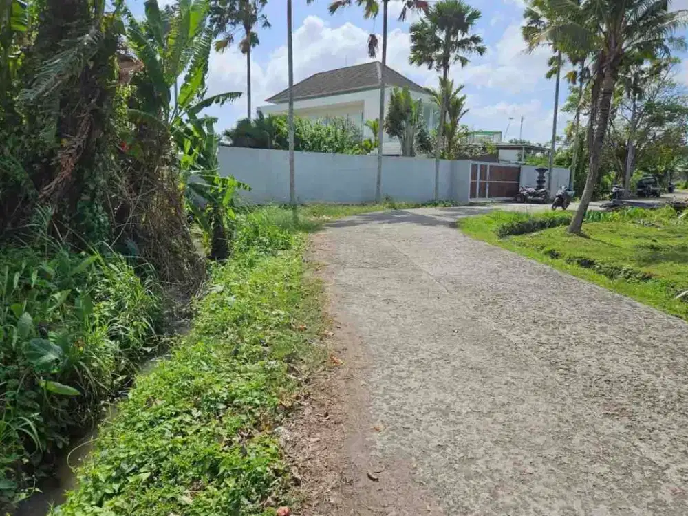 jual tanah kedungu dekat tanah lot