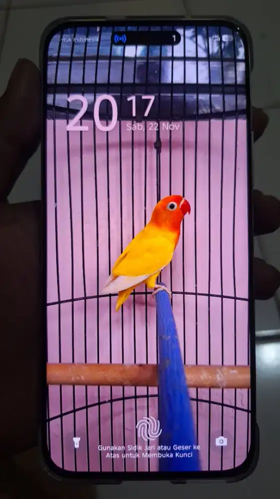 infinix hot 60 pro +