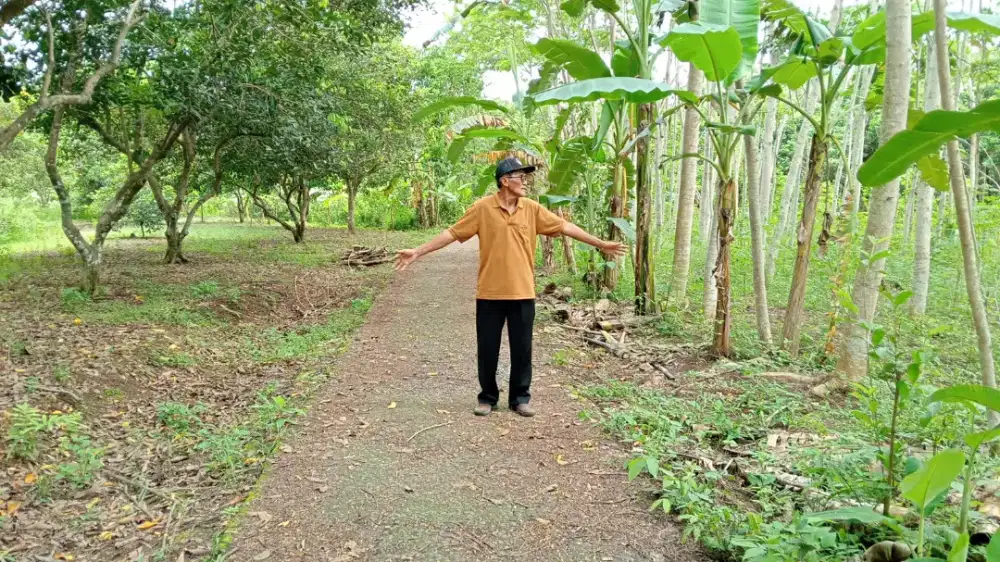 Jual tanah di Winong Purworejo