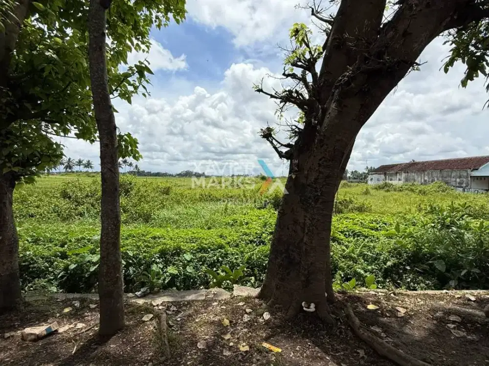 Tanah Strategis High Value Plot di Mojosari Kepanjen Malang