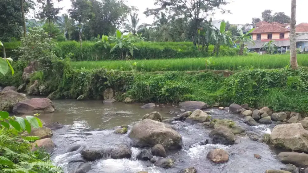 Di jual lhan tanah pinggir jln cocok untuk vila cafe dan lain