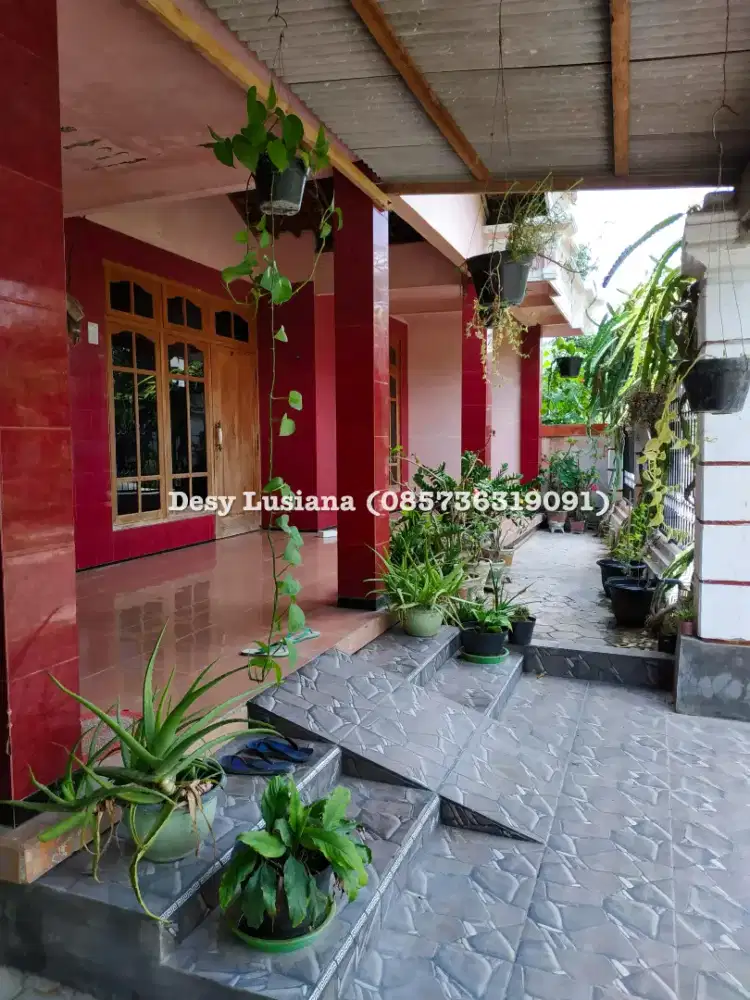 Dijual rumah dan tanah luas (langsung pemilik)